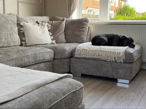 Bishop U Shape Sofa Silver 